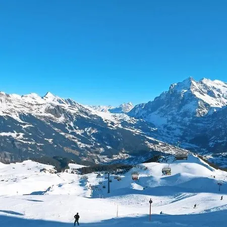 Chalet Aphrodite Ost Appartement Grindelwald